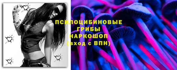 альфа пвп Нязепетровск