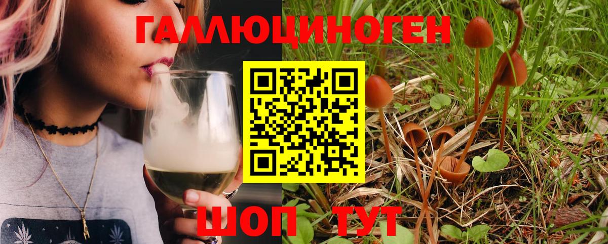 Псилоцибиновые грибы MAGIC MUSHROOMS  Вход с VPN  Сертолово  Галлюциногенные грибы GOLDEN TEACHER 
